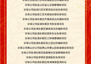 宗保公司关于2025年度先进集体和先进个人表彰奖励的通报